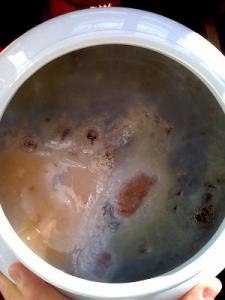 Picture of a Healthy, yet Very young baby scoby